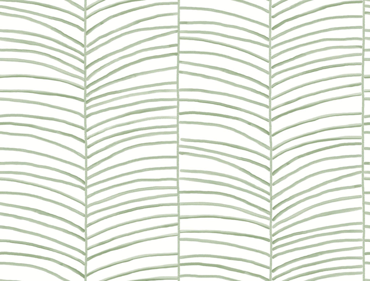 Cascade Palm Chevron Palm Wallpaper MT5674 by York Wallcoverings