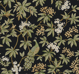 Peacock Estate Black Wallpaper by Ronald Redding – MX9662