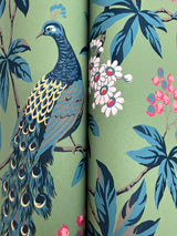 Peacock Estate Green by Ronald Redding Animals & Insects Wallpaper – York Designer Series MX9664