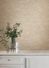 Weathered Stucco Wheat by York Wallcoverings Textured Vinyl Wallpaper – York Wallcoverings SI25753