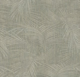 Della Palm Dark Taupe palm leaf wallpaper pattern by York Wallcoverings