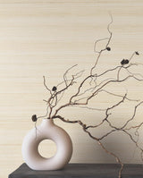 Smooth Abaca Sand Dollar by Ronald Redding Grasscloth Wallpaper – York Designer Series YGL7045