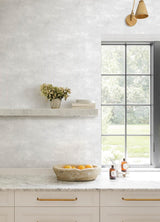 Al Fresco Champagne by Advantage Plaster Wallpaper- Brewster Home Fashions 4168-17701