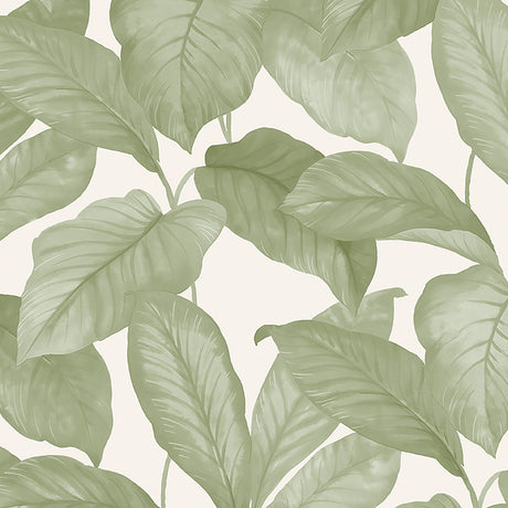 Leaf print wallpaper in green tones by Boråstapeter for Schumacher, shown in a styled interior and close-up.