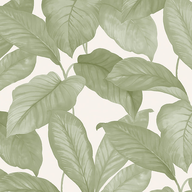 Leaf print wallpaper in green tones by Boråstapeter for Schumacher, shown in a styled interior and close-up.