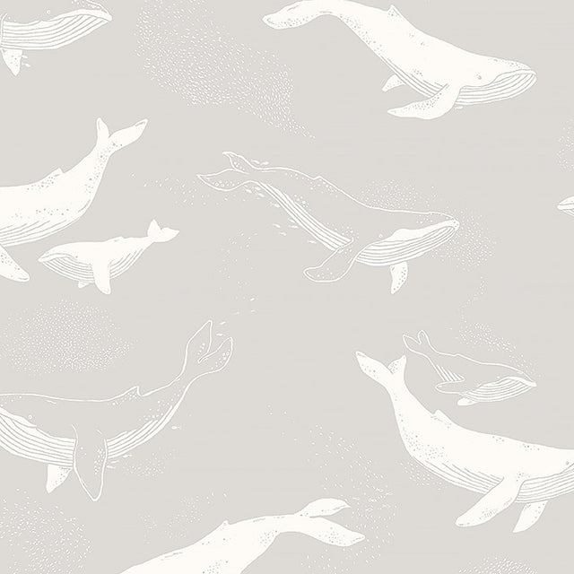 Grey wallpaper featuring white whales swimming, by Boråstapeter for Schumacher