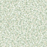 Hazel wallpaper in ivory by Boråstapeter for Schumacher, featuring an intricate botanical pattern of winding hazel leaves.
