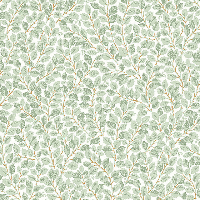 Hazel wallpaper in ivory by Boråstapeter for Schumacher, featuring an intricate botanical pattern of winding hazel leaves.