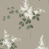 Lilacs wallpaper in grisaille colorway by Boråstapeter for Schumacher, featuring detailed white lilac flowers and green leaves on a taupe background.