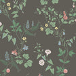 Midsummers Eve Charcoal by Boråstapeter, a Scandinavian floral wallpaper with delicate blooms on a charcoal background.
