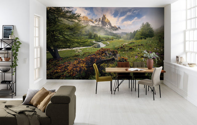 Morning Walk Multicolor Photographic Trees Wall Mural - Komar 8-133
