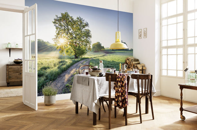 Meadow Trail Green Photographic Wall Mural with Nature Trees Pattern - Komar 8-134