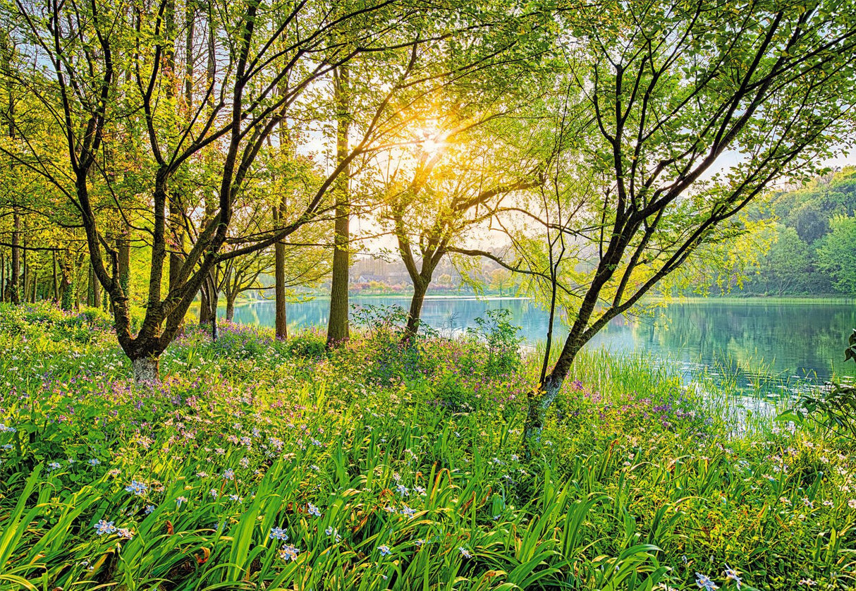 Spring Lake Green Scenic Trees Wall Mural - Komar 8-524