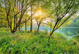 Spring Lake Green Scenic Trees Wall Mural - Komar 8-524