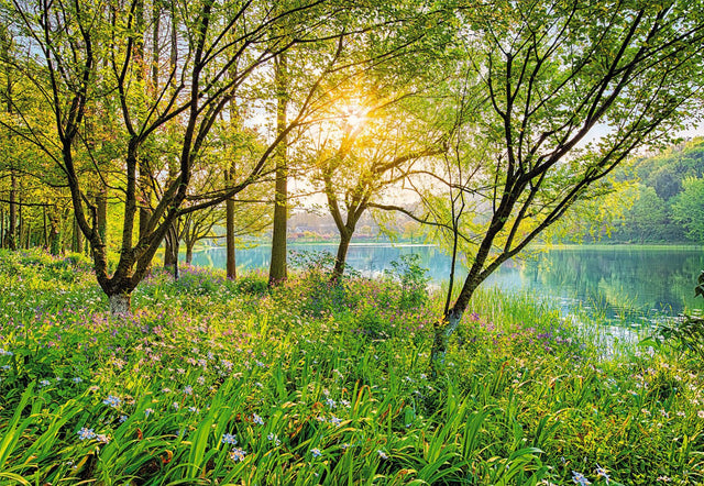 Spring Lake Green Scenic Trees Wall Mural - Komar 8-524