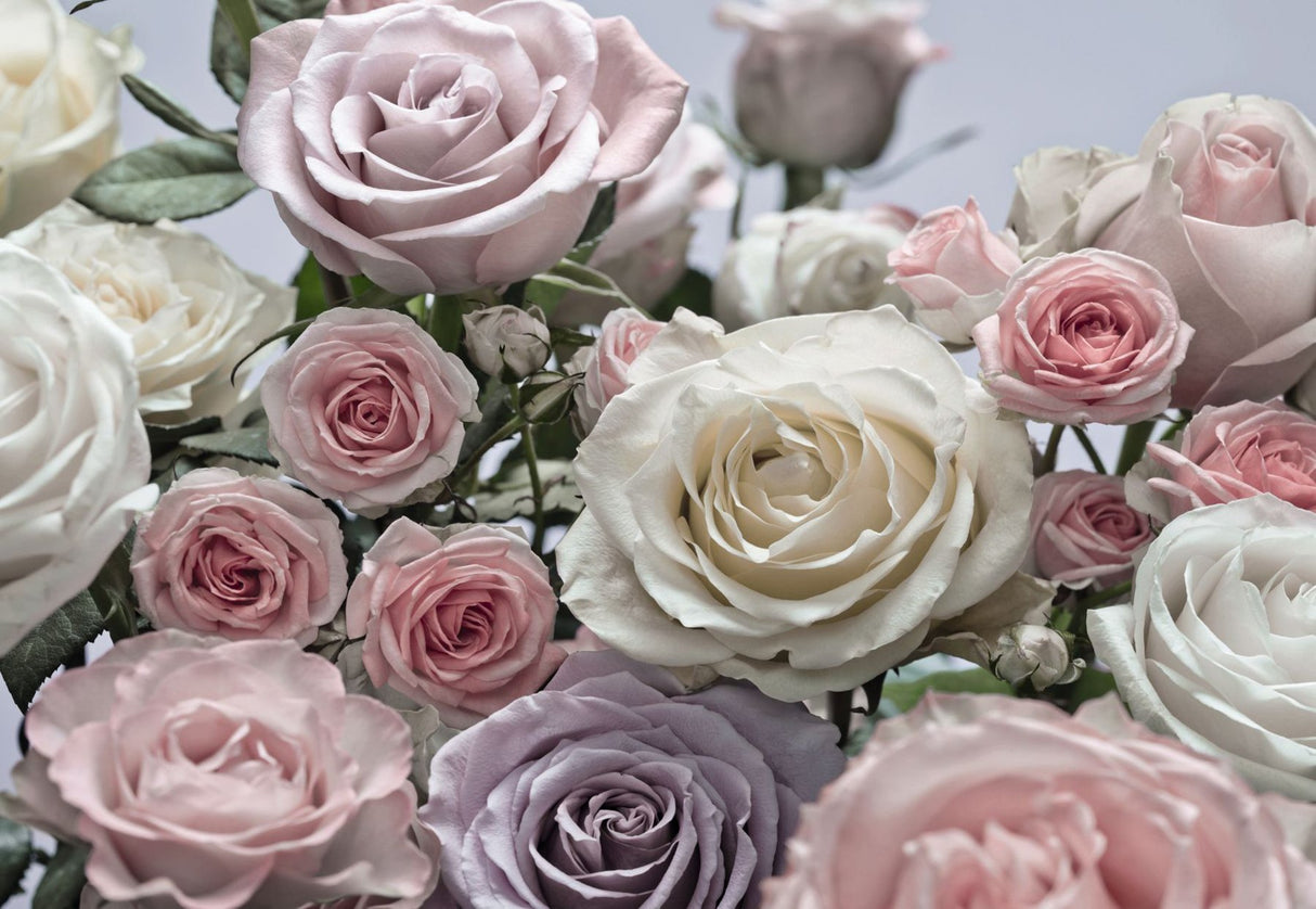 Floraison Pink Floral Scenic Wall Mural with Romantic Rose Bouquet Pattern - Komar 8-736