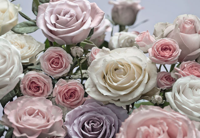 Floraison Pink Floral Scenic Wall Mural with Romantic Rose Bouquet Pattern - Komar 8-736
