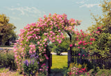 Rose Garden Pink Scenic Floral Wall Mural - Komar 8-936