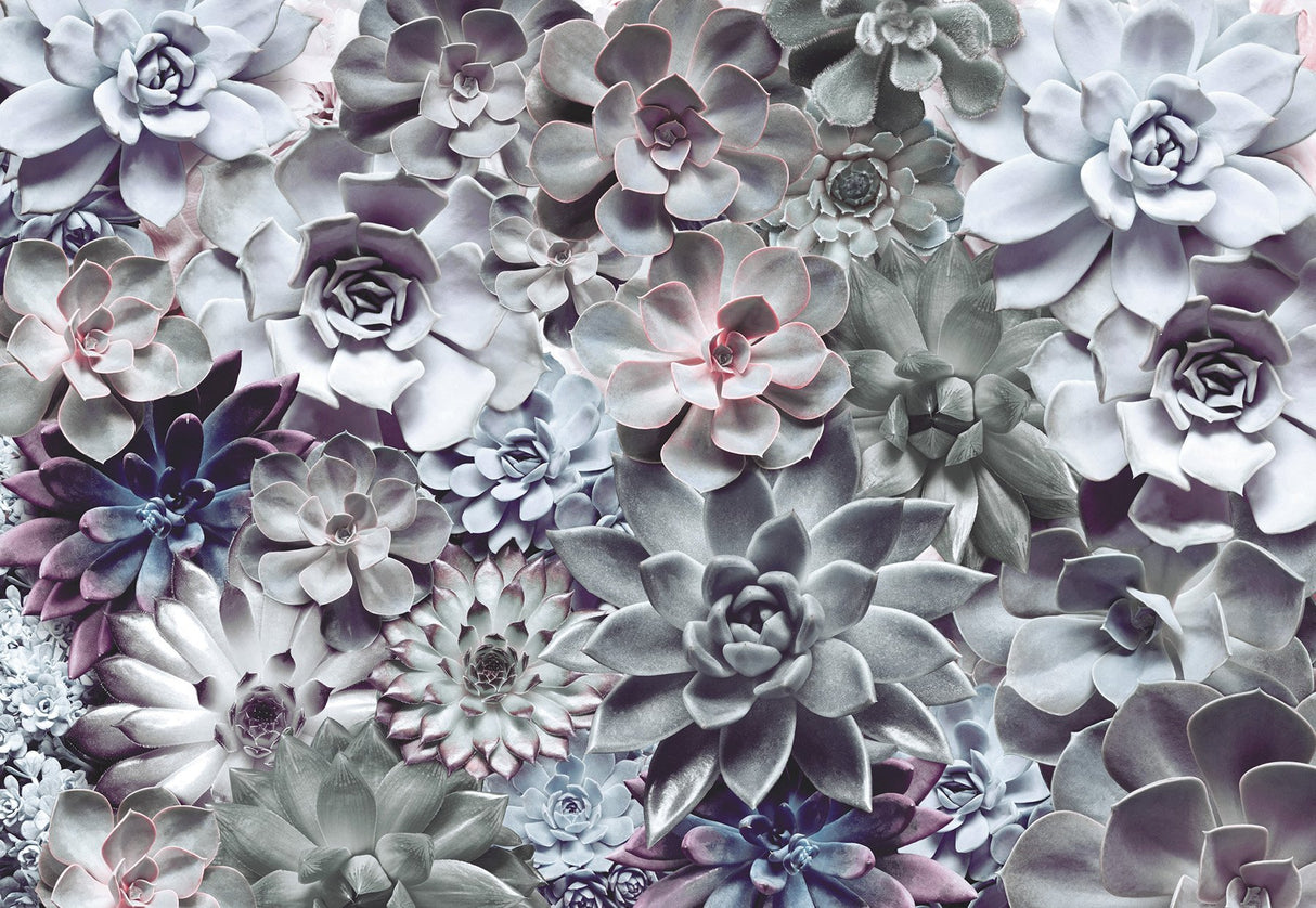 Shades Succulent Floral Wall Mural in Green and Grey - Komar 8-962
