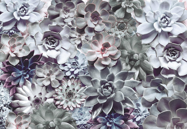 Shades Succulent Floral Wall Mural in Green and Grey - Komar 8-962