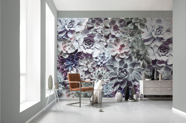 Shades Succulent Floral Wall Mural in Green and Grey - Komar 8-962