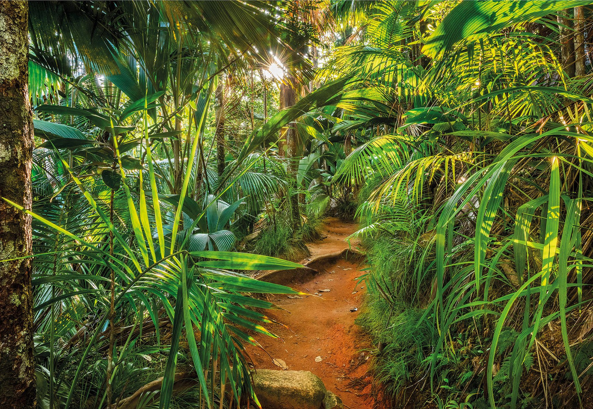 Jungle Trail Green Photographic Nature Wall Mural - Komar 8-989