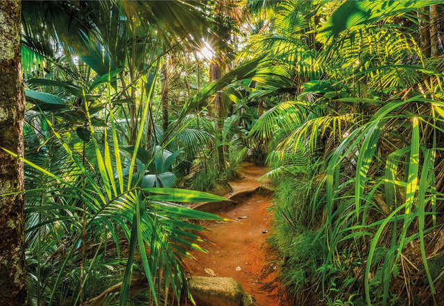 Jungle Trail Green Photographic Nature Wall Mural - Komar 8-989