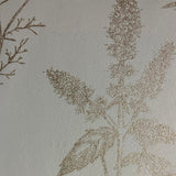 Luminous Botanical Sketch Gold by Veer Decor Metallic Wallpaper – Veer Decor 8195-AB1