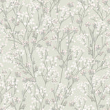 Blossom Branches Grey Green floral wallpaper roll and room scene