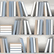 Nook Book Blue bookshelf novelty wallpaper roll and room scene