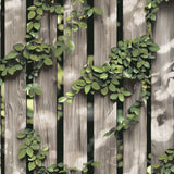 Palisade Brown trompe l’oeil fence and vines wallpaper roll and room view