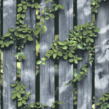 Palisade Grey wallpaper showing photoreal wood fence with green vines