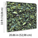 Evergreen Living Wall Green by Veer Decor Botanical Wallpaper – Veer Decor 8196-AF1