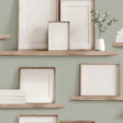 Frame Shelves Green trompe l’oeil wallpaper roll with frames and books on wooden shelves