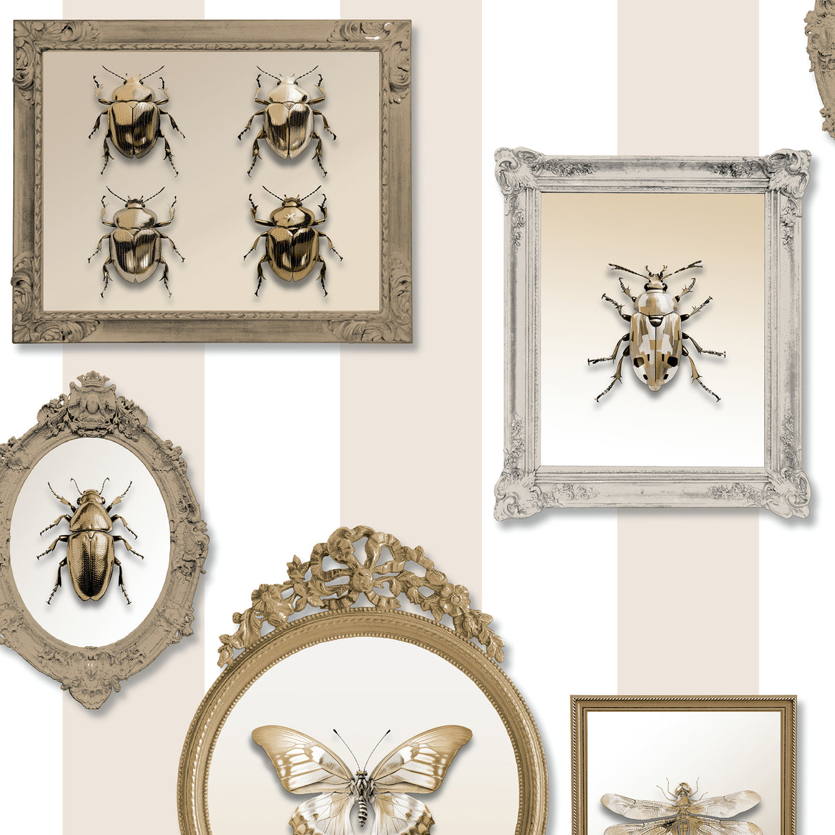 Entomology Gallery Beige wallpaper with framed insects over beige and white stripes