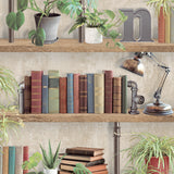 Industrial Book Nook Brown wallpaper roll showing bookshelf pattern with books, plants, and lamp