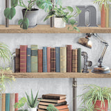 Industrial Book Nook Grey wallpaper roll with bookshelf motif of books, plants and lamp