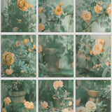 Rose Garden Window trompe l'oeil floral wallpaper roll with orange roses viewed through window panes