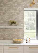 Al Fresco Chocolate by Advantage Plaster Wallpaper – Brewster Home Fashions 4168-17709
