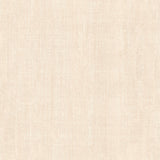 Allure Texture Light Beige textured abstract wallpaper roll and room scene