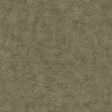 Pampas Plain Brushed Texture Burnt Olive textured wallpaper roll and pattern