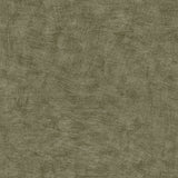 Pampas Plain Brushed Texture Burnt Olive textured wallpaper roll and pattern