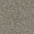 Pampas Plain Brushed Texture Antracite textured wallpaper roll and pattern