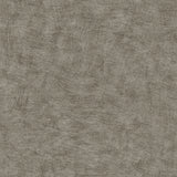Pampas Plain Brushed Texture Antracite textured wallpaper roll and pattern
