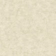 Pampas Plain Brushed Texture Ivory wallpaper roll and texture view