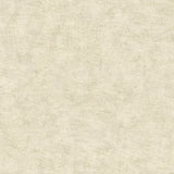 Pampas Plain Brushed Texture Ivory wallpaper roll and texture view