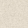 Pampas Plain Brushed Texture Light Grey wallpaper roll and detail