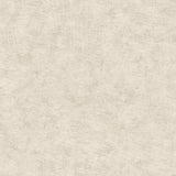 Pampas Plain Brushed Texture Light Grey wallpaper roll and detail