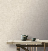 Pampas Plain Brushed Texture Light Grey by Veer Decor Textured Wallpaper – Veer Decor 8250-AA3