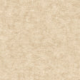 Pampas Plain Brushed Texture Warm Beige wallpaper roll and room scene